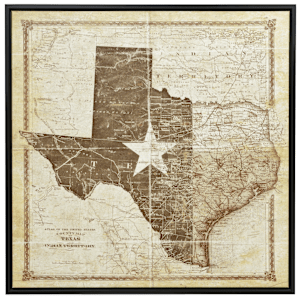 Texas Flag & Map Canvas Art