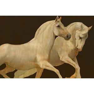 Regal Spirit Wall Art