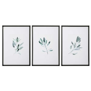 Botanical Study Set/3 Wall Art