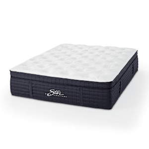 Dream Plush Pillow Top Mattress