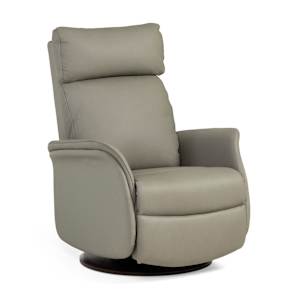 Tanner Recliner