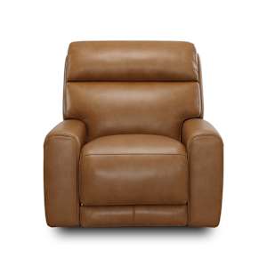 Briggs 2-Power Recliner