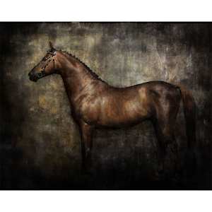 Exquisite Equine Wall Art